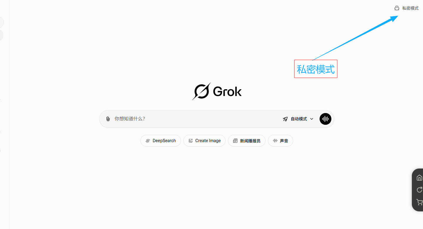 Grok 隐私模式开启位置